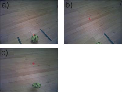 Keep Your Eye on the Ball; the Impact of an Anticipatory Fixation During Successful and Unsuccessful Soccer Penalty Kicks